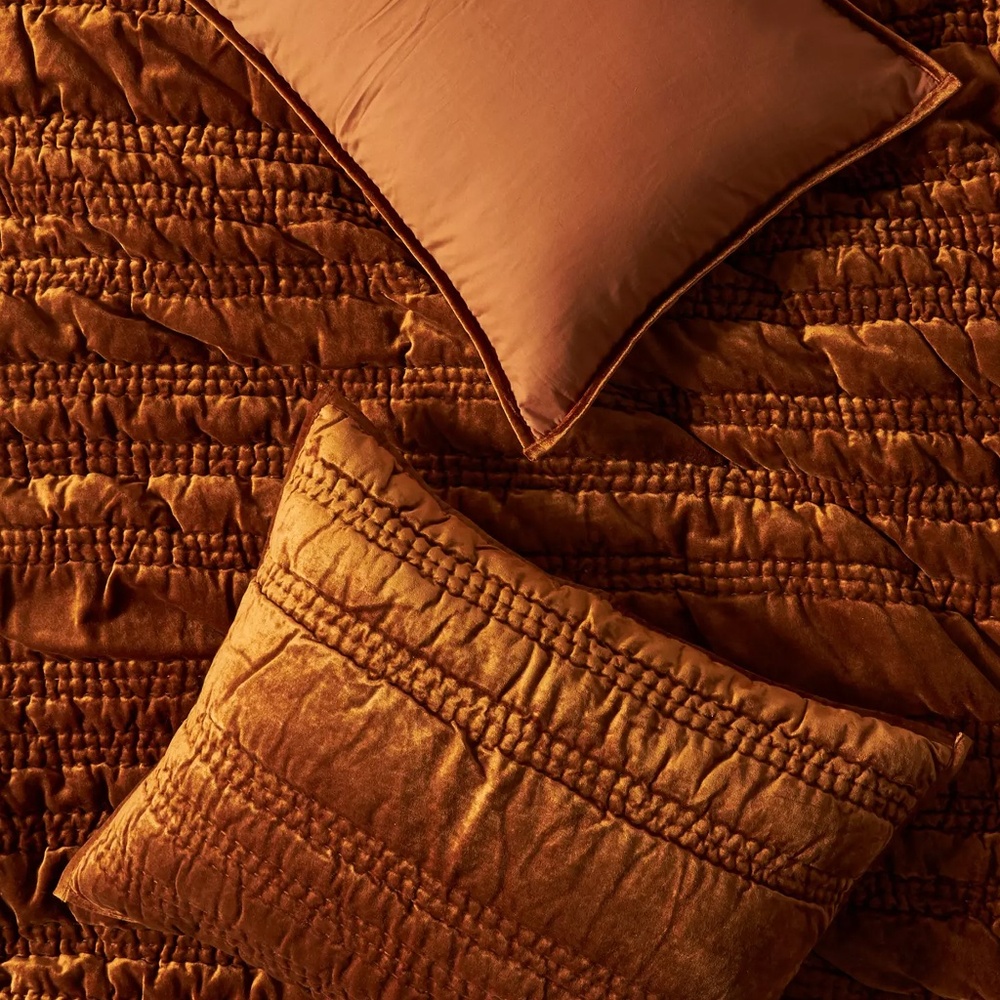Anthropologie Lustered Velvet Alastair Pillow Case Shams, Set of 2